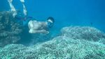 Pusat Laut di Sulawesi Tengah, Konon Bisa Menyembuhkan Penyakit