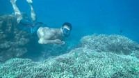 dekat pusat laut , mampir Snorekeling di Tanjung Karang