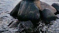 Patung Putri Duyung yang melegenda