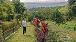 Putri Pelangi, Curug Mempesona di Kaki Gunung Salak