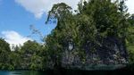 Raja Ampat Punya Pulau-pulau Karang Cantik di Teluk Kabui