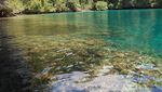 Raja Ampat Punya Pulau-pulau Karang Cantik di Teluk Kabui