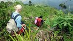 Rakutak, Gunung Perawan dari Bandung