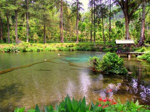 Rambut Monte, dari Telaga Sampai Legenda Ikan Dewa