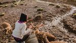 Ranca Upas Rasa Luar Negeri