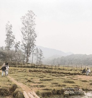 Ranca Upas yang Bikin Rindu