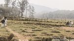 Ranca Upas yang Bikin Rindu