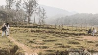 pemandangan indah yang akan kita daparkan di ranca upas.