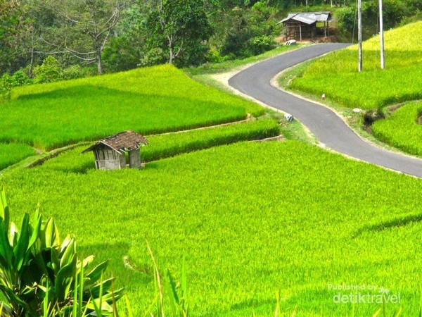 Jalan menuju Rancabuaya via Situ Patengan
