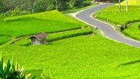 Jalan menuju Rancabuaya via Situ Patengan