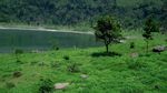 Ranu Bedali, Saingannya Ranu Kumbolo di Semeru