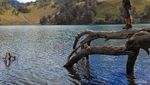 Ranu Kumbolo yang Selalu Bikin Kangen