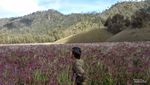 Ranu Kumbolo yang Selalu Bikin Kangen