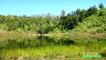 Ranu Regulo, Tak Kalah Cantik dengan Ranu Kumbolo!