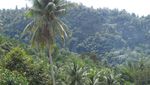 Rasa Minang, Belanda, dan Jawa di Sawahlunto, Sumbar