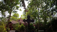 Lokasi yang nyaman dan tenang