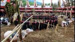 Rasakan Sensasi Menyambut Pagi dari Tana Toraja