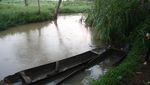 Rawa Danau, Rawa yang Langka di Dunia