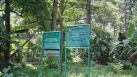 Rawa Danau, Serang