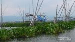 Rawa Pening, Destinasi untuk Melepas Penat di Ambarawa