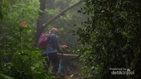 Jalurnya cukup menantang, pohon rimbun, menanjak dan cukup licin.