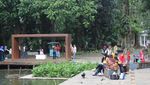 Refreshing Sejenak di Kebun Raya Bogor
