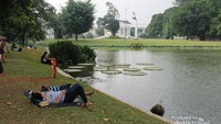 Terlihat wisatawan sedang menikmati Kebun Raya Bogor