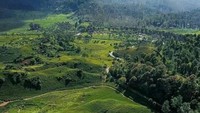 Gunung Burangrang