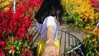 Romantic Garden