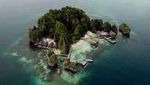 Rekomendasi Homestay & Tempat Diving Eksotis di Misool