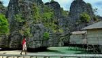 Rekomendasi Homestay & Tempat Diving Eksotis di Misool