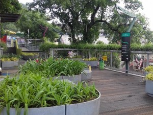 Rekomendasi Hotel-hotel Murah di Sekitar Cihampelas