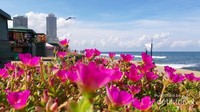 Taman di sepanjang pantai Galle Face Green