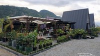 view penginapan