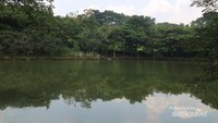 Rindang dan hijaunya pepohonan