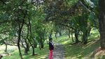 Rekomendasi Wisata Kuliner di Sentul, Coba Saja ke Sini