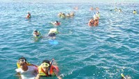 Snorkeling