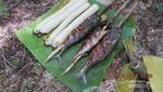 Reo, Si Perawan Cantik dari Flores