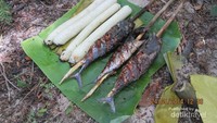 Ketan bambu dan ikan bakar