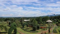 Taman tampak dari atas