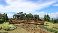 Taman bunga
