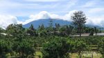 Resort Asyik Buat Liburan di Ciawi