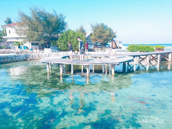 Restoran Terapung di Kepulauan Seribu Ini Punya Penangkaran Hiu