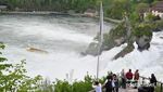 Rheinfall: Niagaranya Swiss, Terbesar di Eropa!