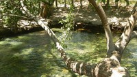 Kolam dimana sumber air panas berasal