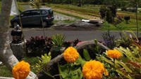 Mengintip persawahan dibalik taman.