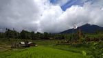 Rindu Hijaunya Persawahan Jatiluwih Tabanan Bali