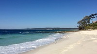 Hyams beach