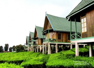 Roadtrip Mantap dan Seru Menuju Pagaralam