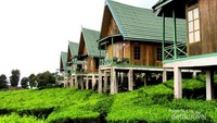 Vila-vila kayu dengan pemandangan kebun teh